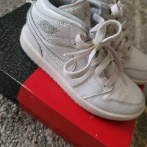 Niko Jordan 1 Shoes